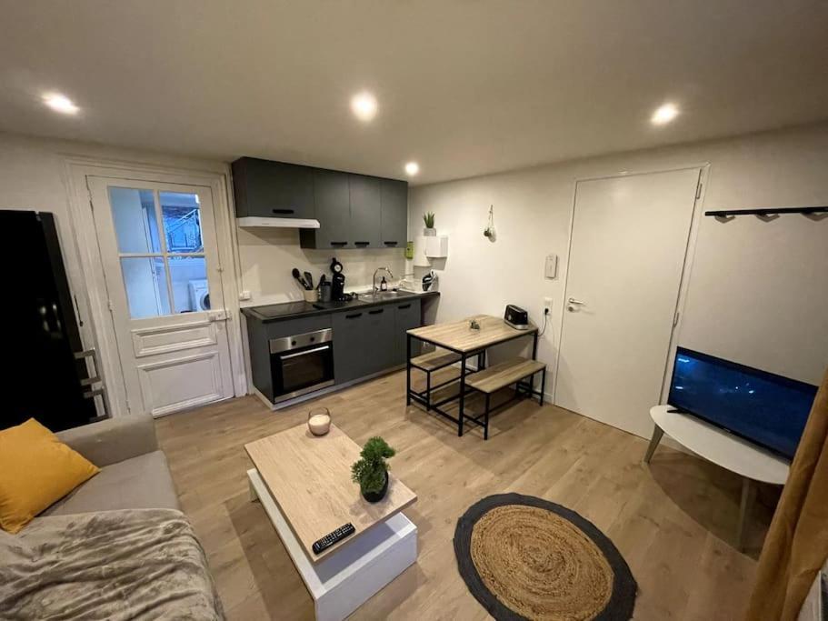 Gaby ~ Jardinet ~ Hyper-centre Appartement Pau